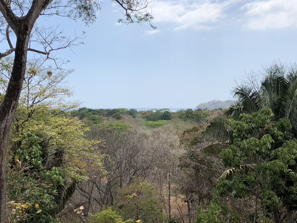 3 bed Single Family Homes For Sale in Samara, Guanacaste - thumb 17