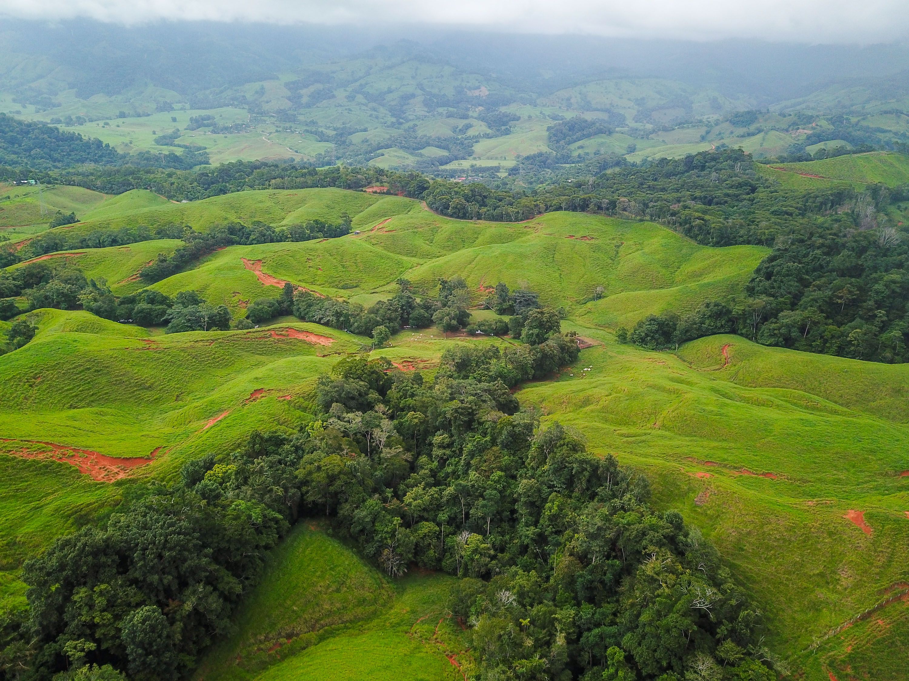 0 bed Land For Sale in Dominical, Puntarenas - thumb 9