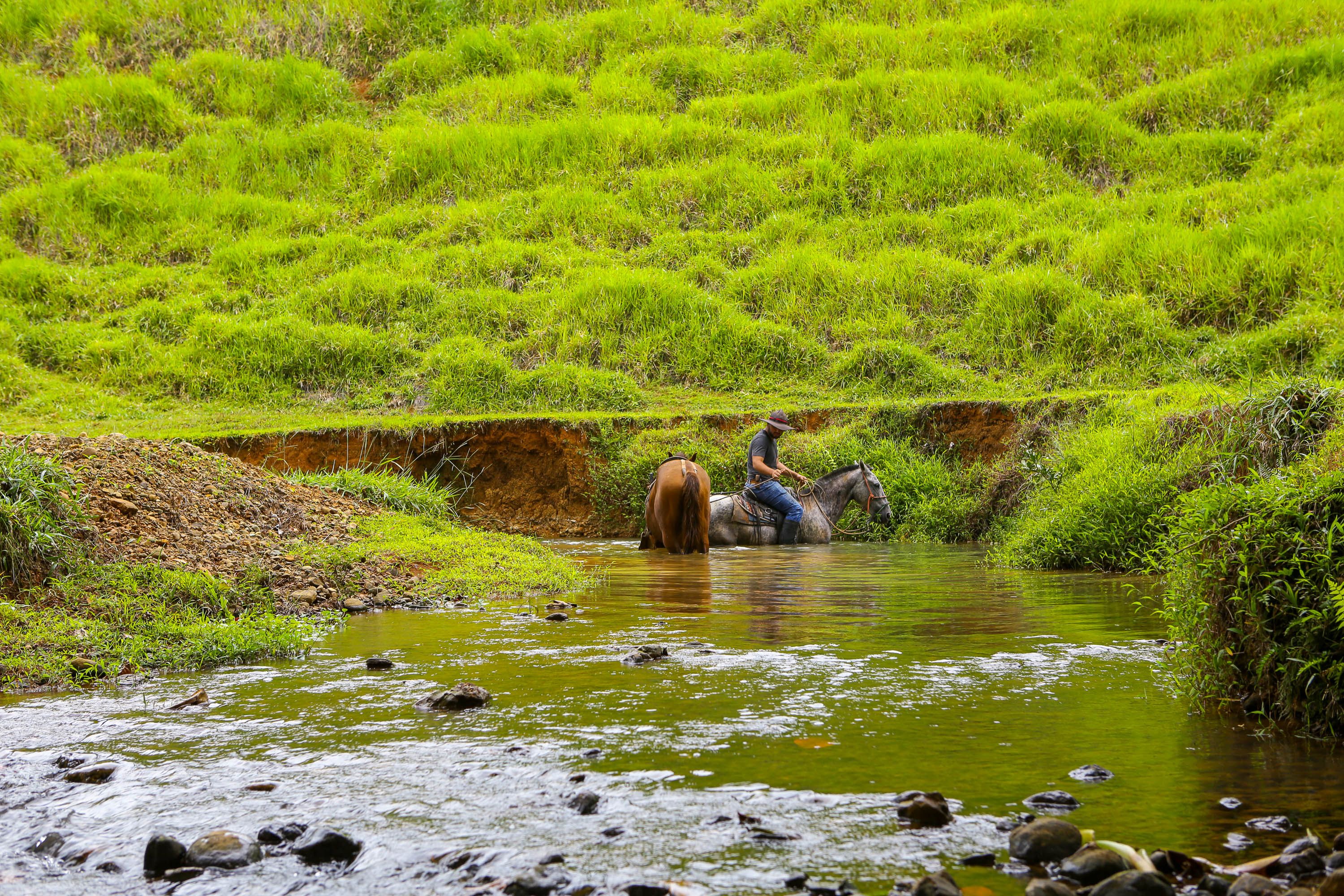 0 bed Land For Sale in Dominical, Puntarenas - thumb 10