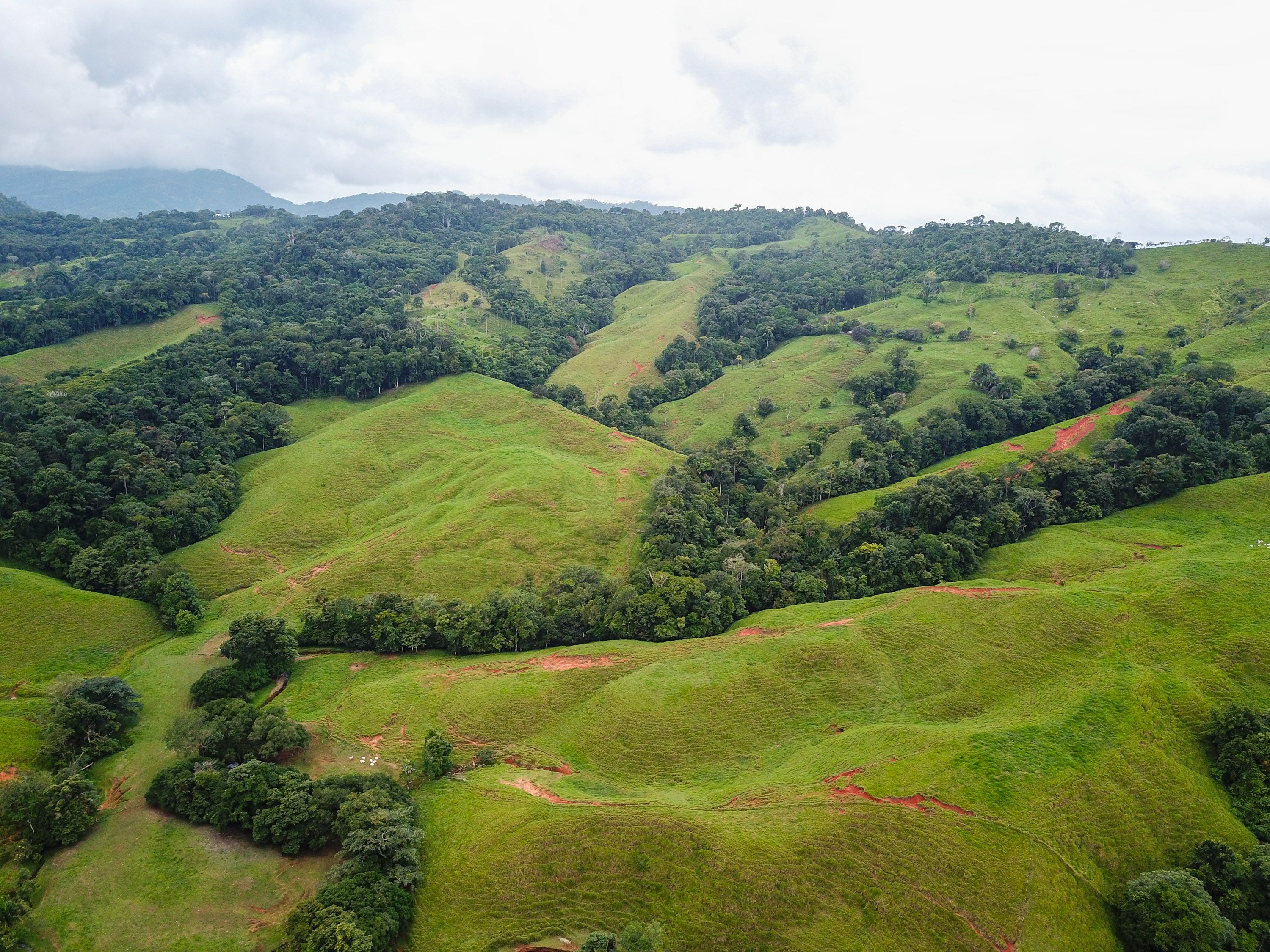 0 bed Land For Sale in Dominical, Puntarenas - thumb 7