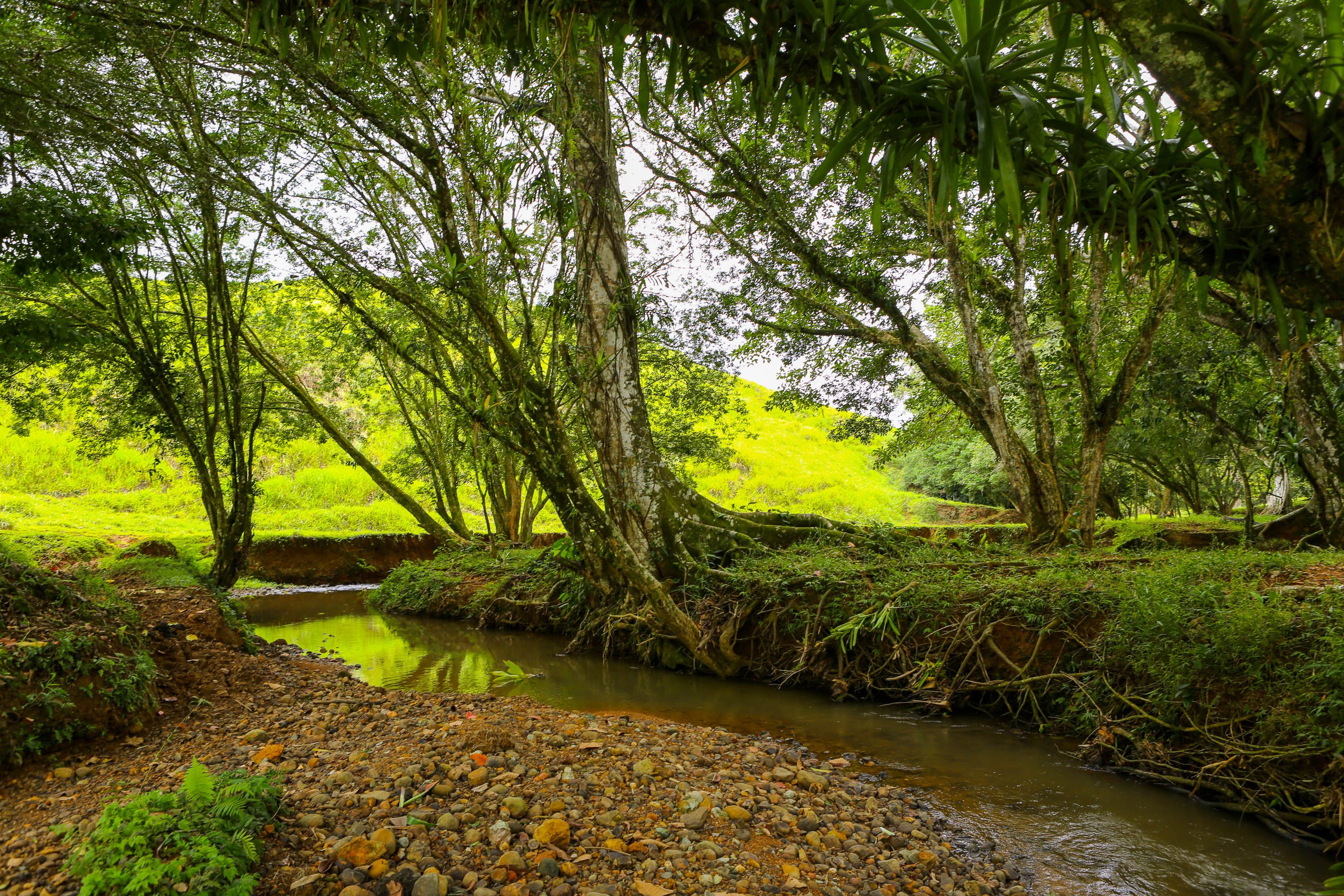 0 bed Land For Sale in Dominical, Puntarenas - thumb 2