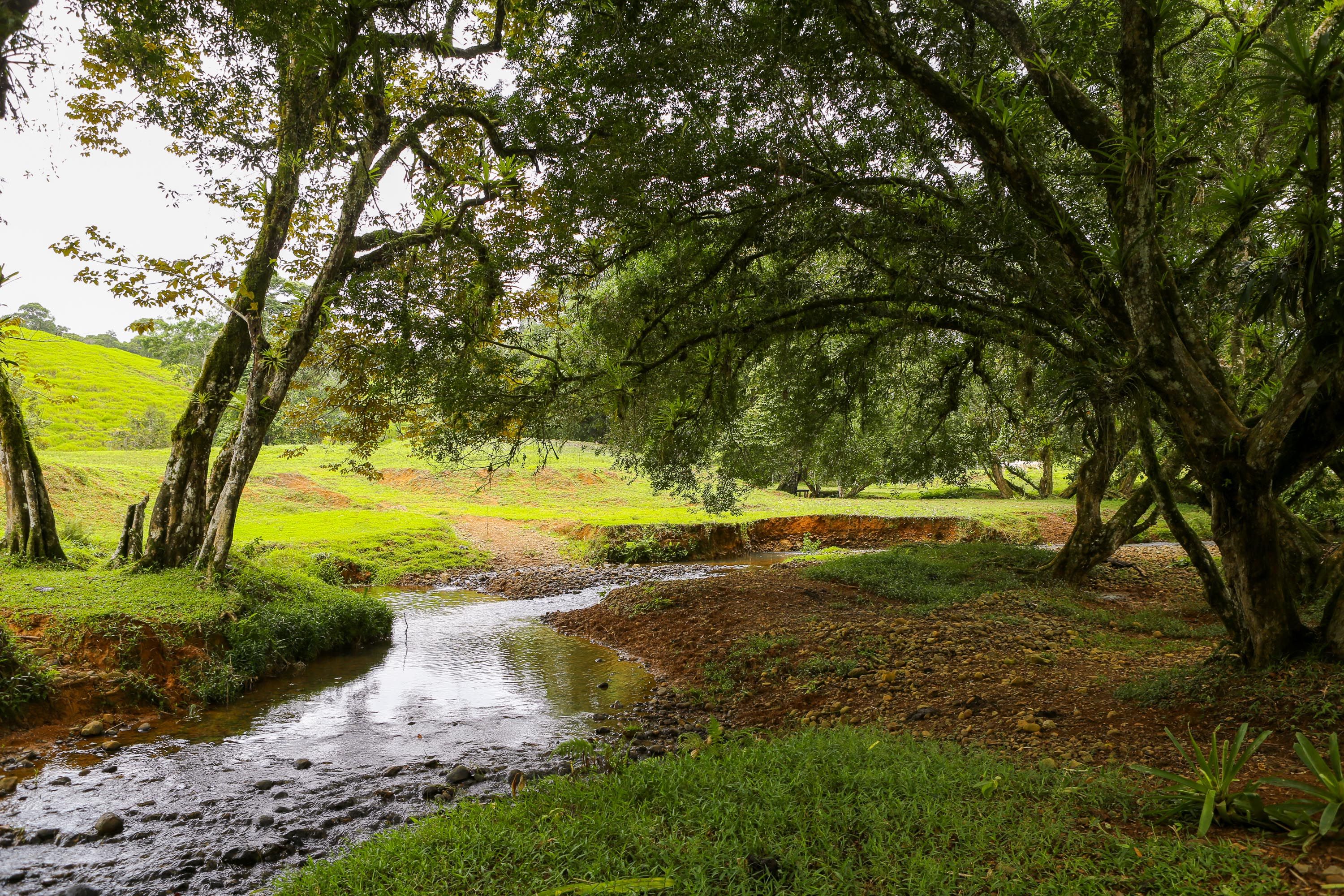 0 bed Land For Sale in Dominical, Puntarenas - thumb 1