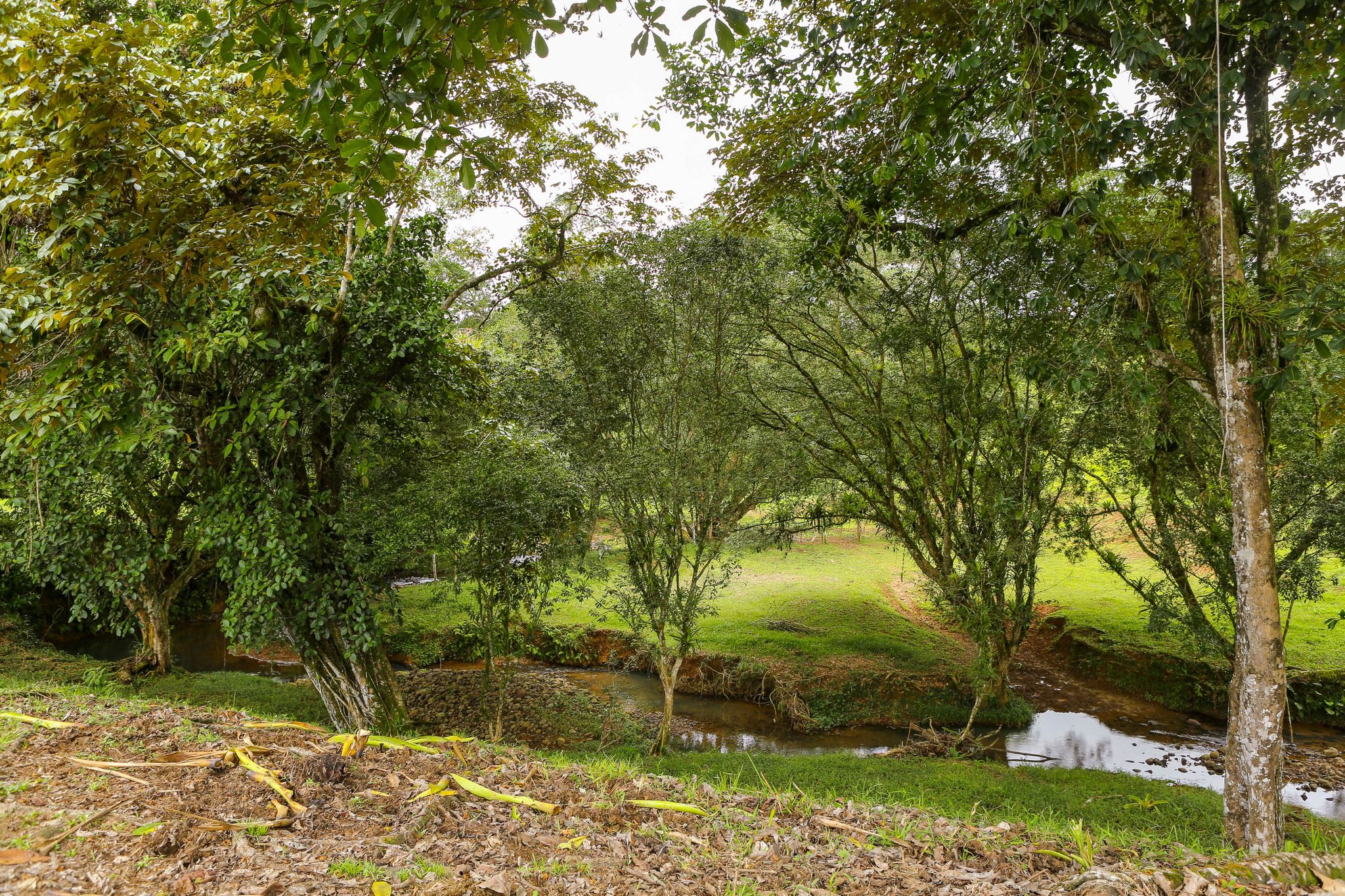 0 bed Land For Sale in Dominical, Puntarenas - thumb 3