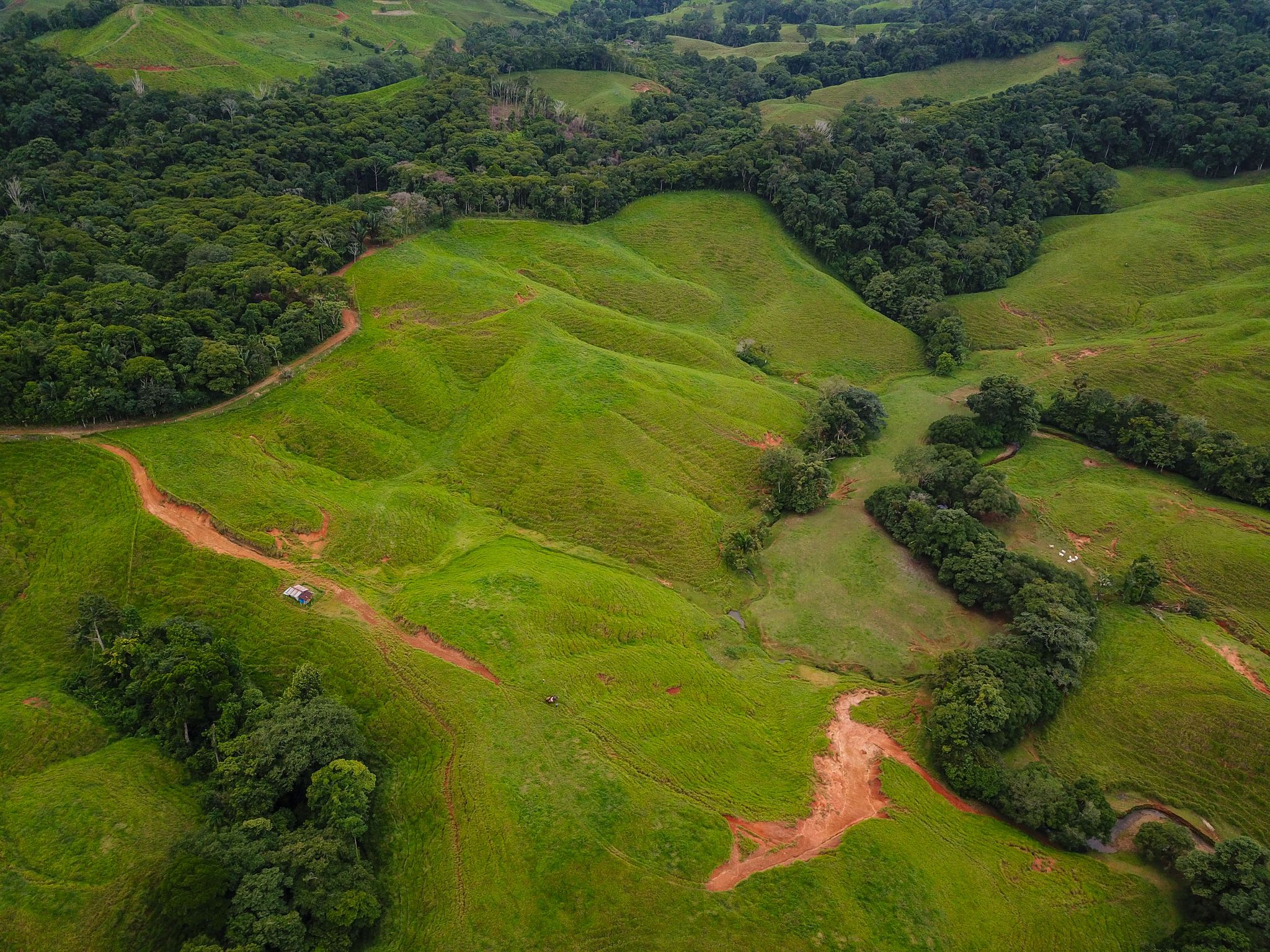 0 bed Land For Sale in Dominical, Puntarenas - thumb 6