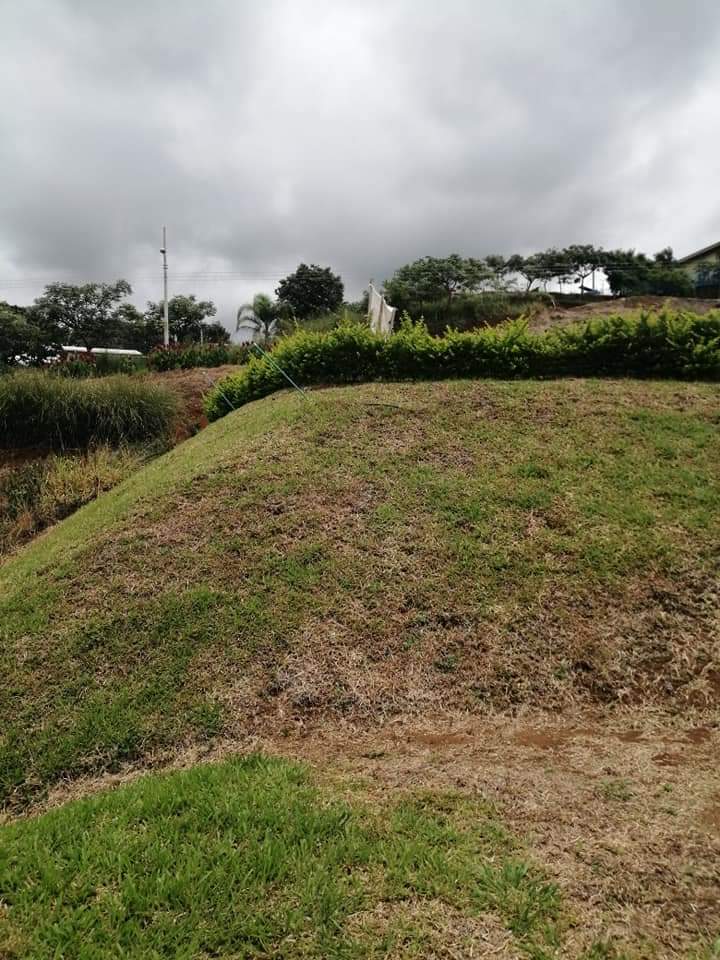 0 bed Land For Sale in Atenas, Alajuela - thumb 26