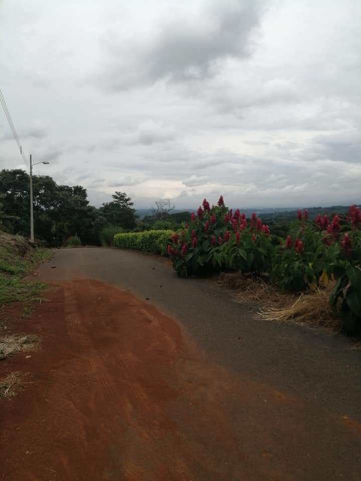 0 bed Land For Sale in Atenas, Alajuela - thumb 8