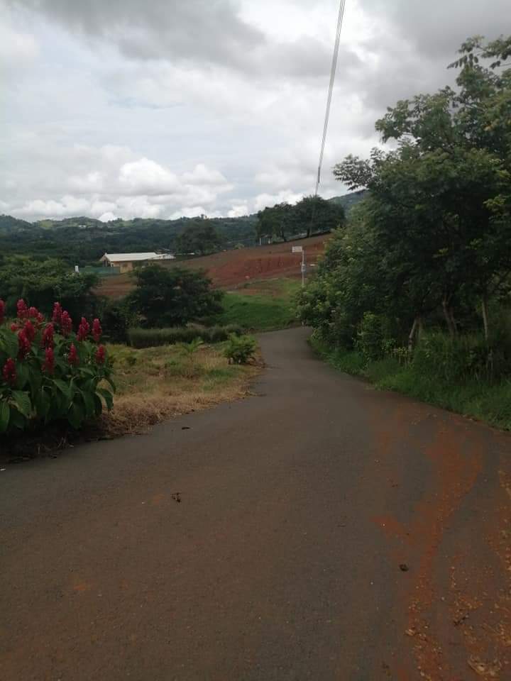 0 bed Land For Sale in Atenas, Alajuela - thumb 24