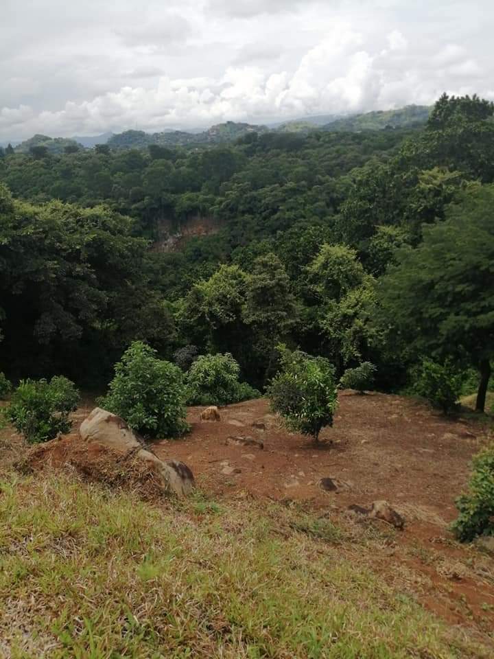 0 bed Land For Sale in Atenas, Alajuela - thumb 22