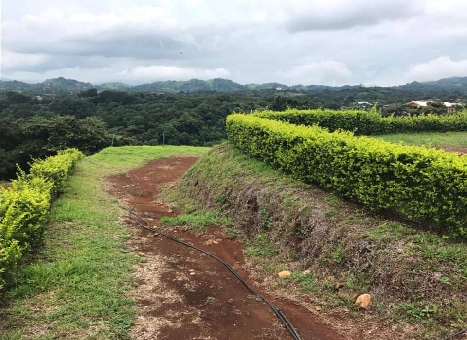 0 bed Land For Sale in Atenas, Alajuela - thumb 16