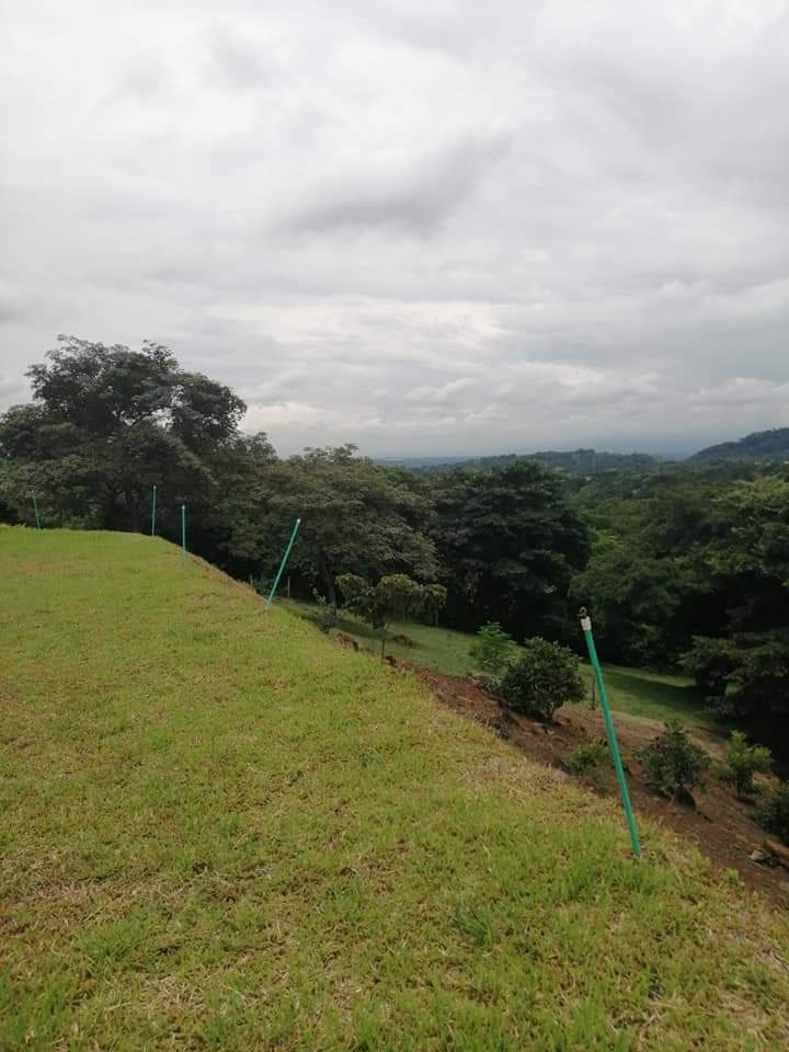 0 bed Land For Sale in Atenas, Alajuela - thumb 30