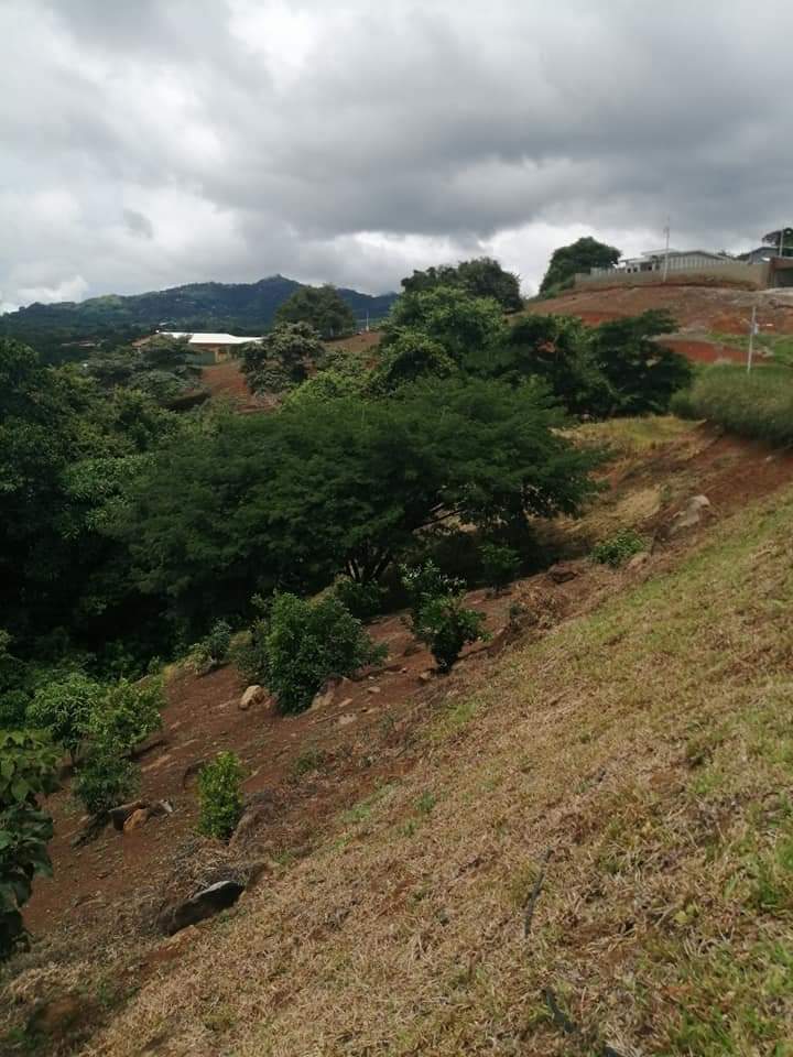 0 bed Land For Sale in Atenas, Alajuela - thumb 29