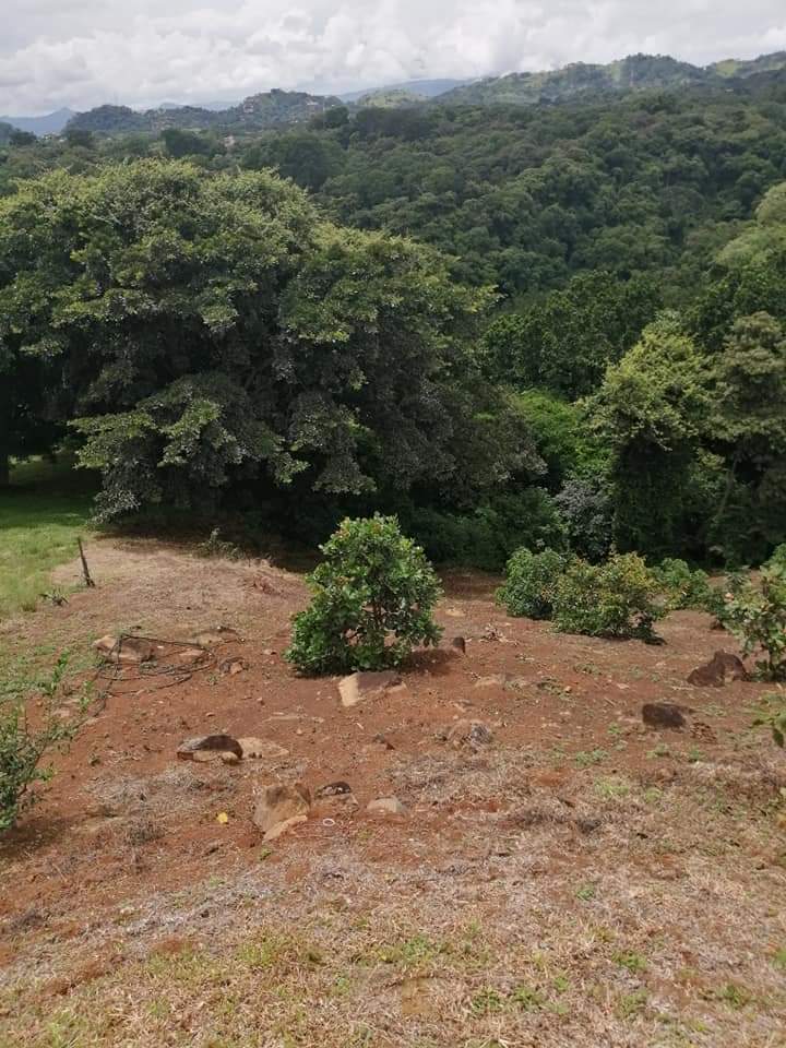 0 bed Land For Sale in Atenas, Alajuela - thumb 9
