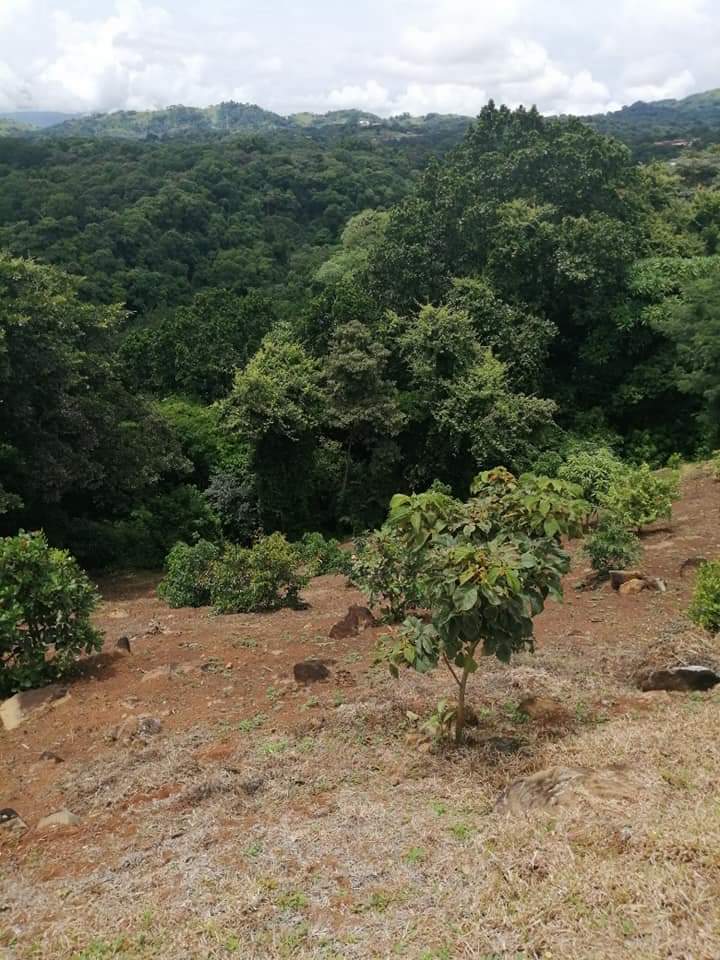 0 bed Land For Sale in Atenas, Alajuela - thumb 10