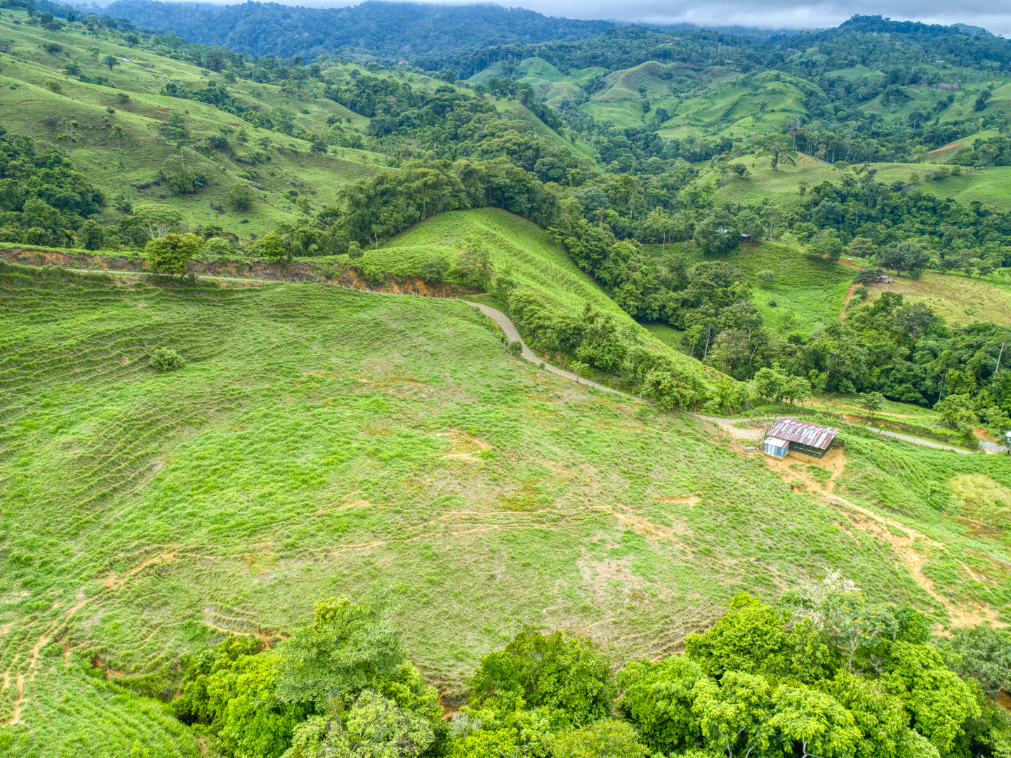 0 bed Land For Sale in Perez Zeledon, Puntarenas - thumb 24