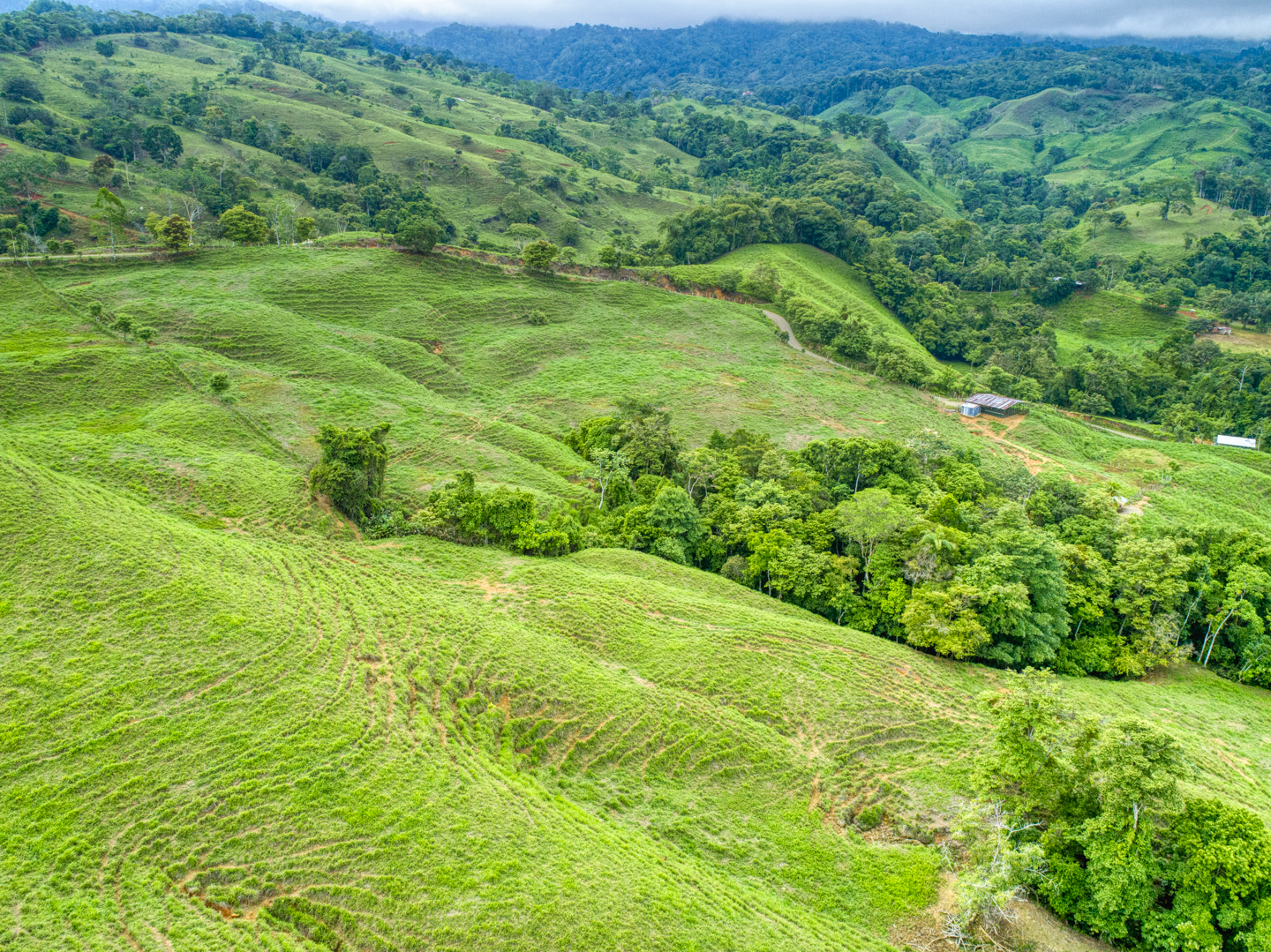 0 bed Land For Sale in Perez Zeledon, Puntarenas - thumb 23