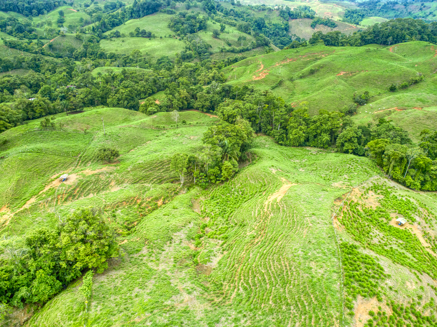 0 bed Land For Sale in Perez Zeledon, Puntarenas - thumb 21