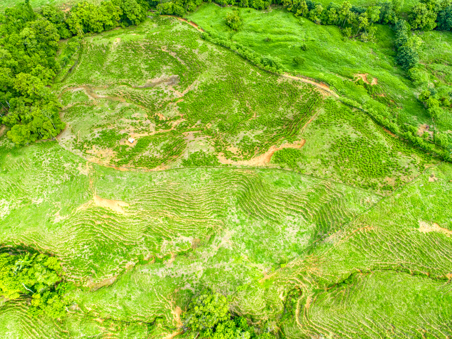 0 bed Land For Sale in Perez Zeledon, Puntarenas - thumb 15