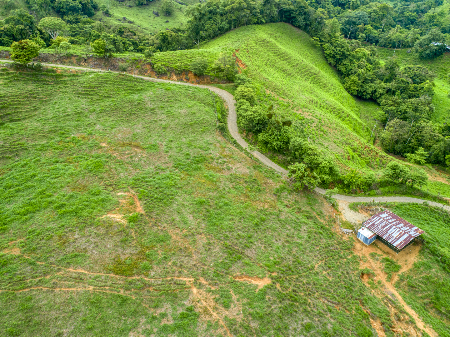 0 bed Land For Sale in Perez Zeledon, Puntarenas - thumb 5