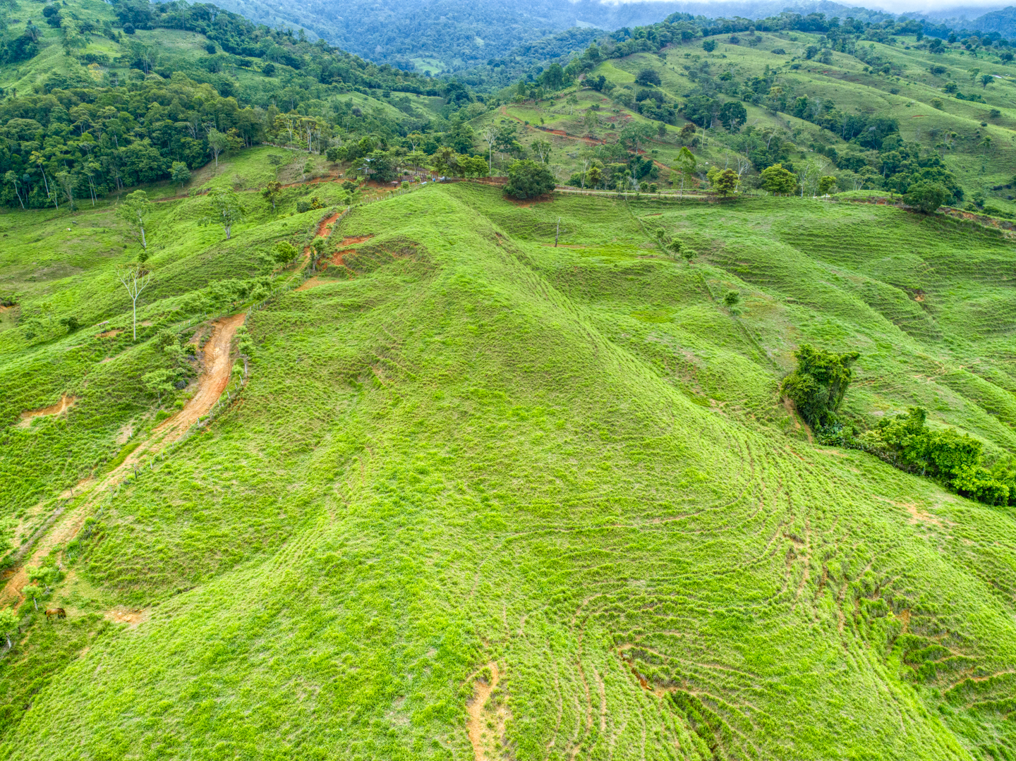 0 bed Land For Sale in Perez Zeledon, Puntarenas - thumb 22