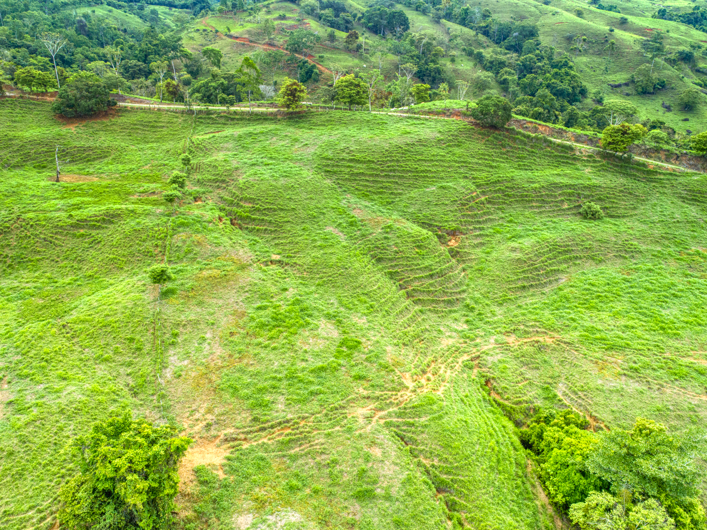 0 bed Land For Sale in Perez Zeledon, Puntarenas - thumb 4