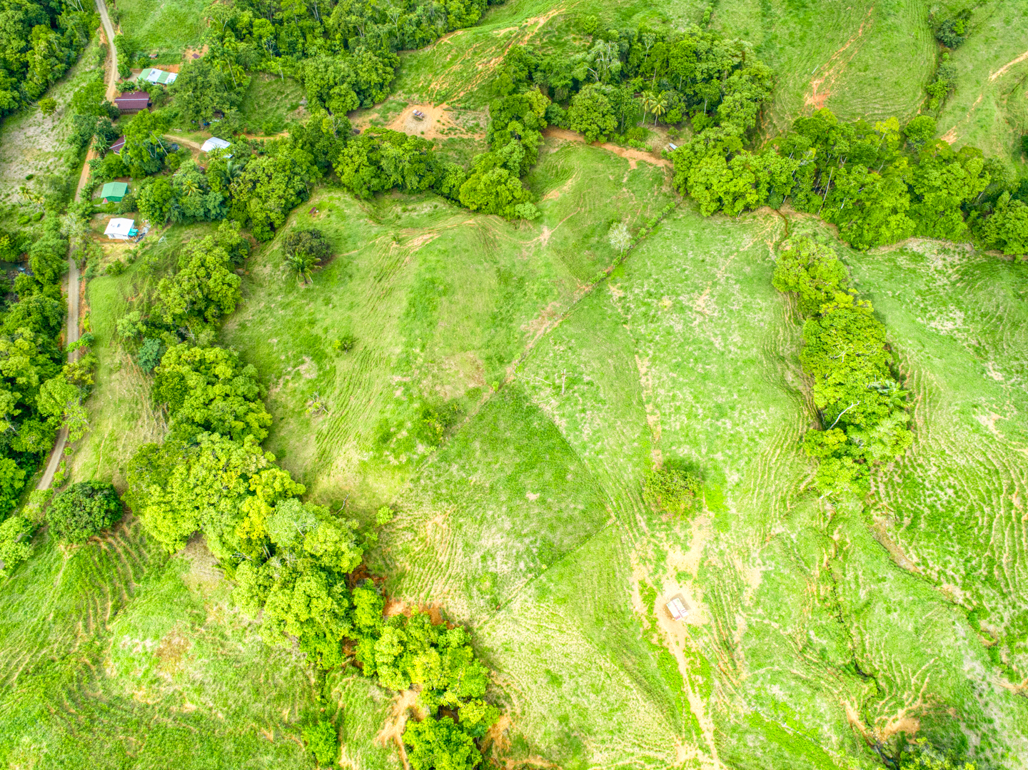 0 bed Land For Sale in Perez Zeledon, Puntarenas - thumb 19