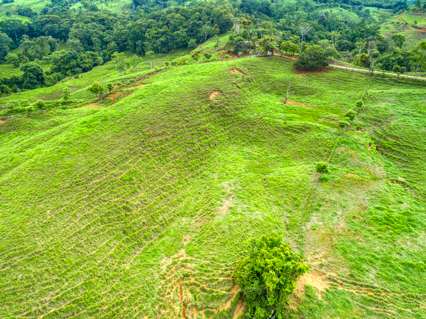 0 bed Land For Sale in Perez Zeledon, Puntarenas - thumb 6