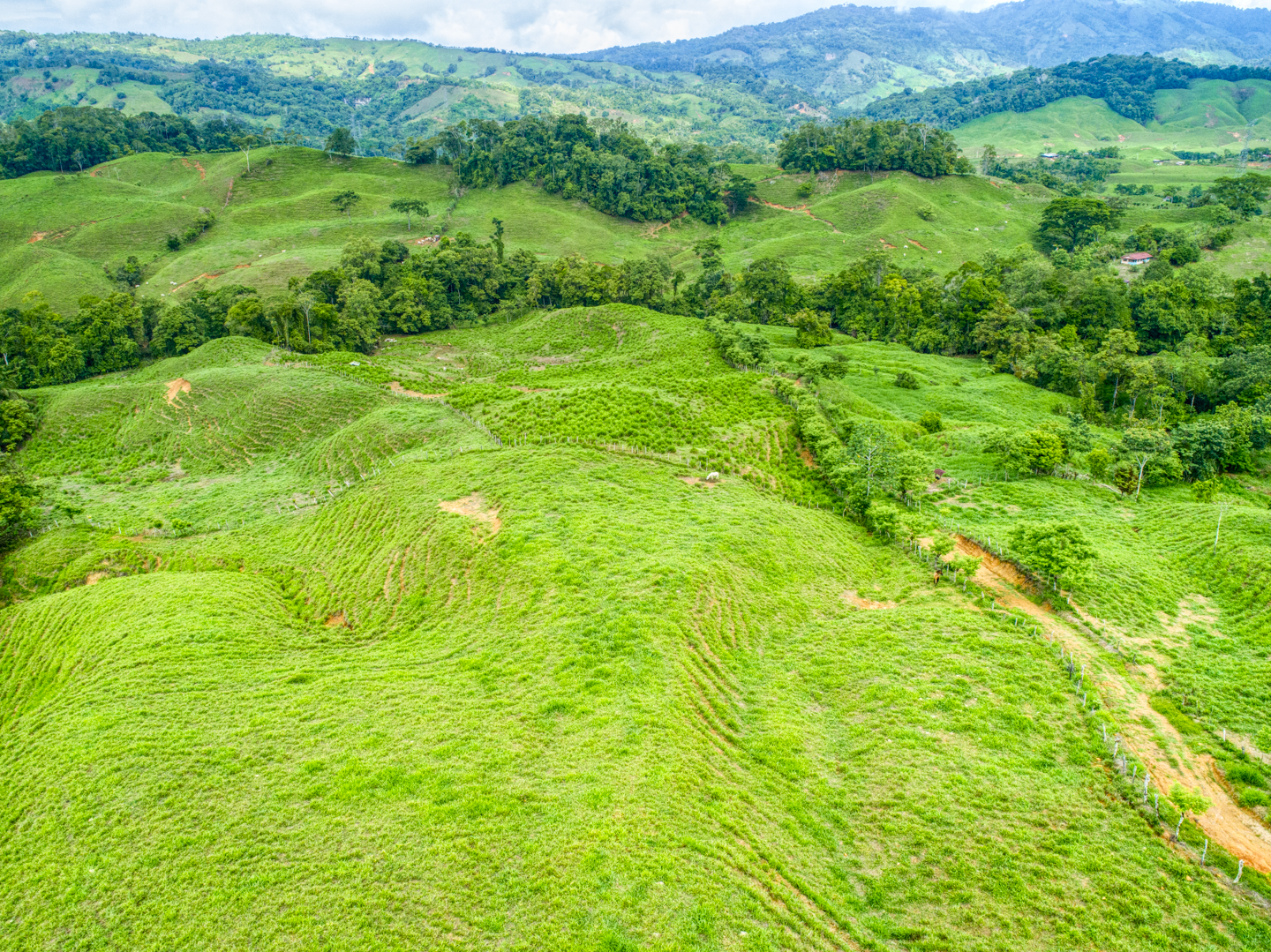 0 bed Land For Sale in Perez Zeledon, Puntarenas - thumb 20