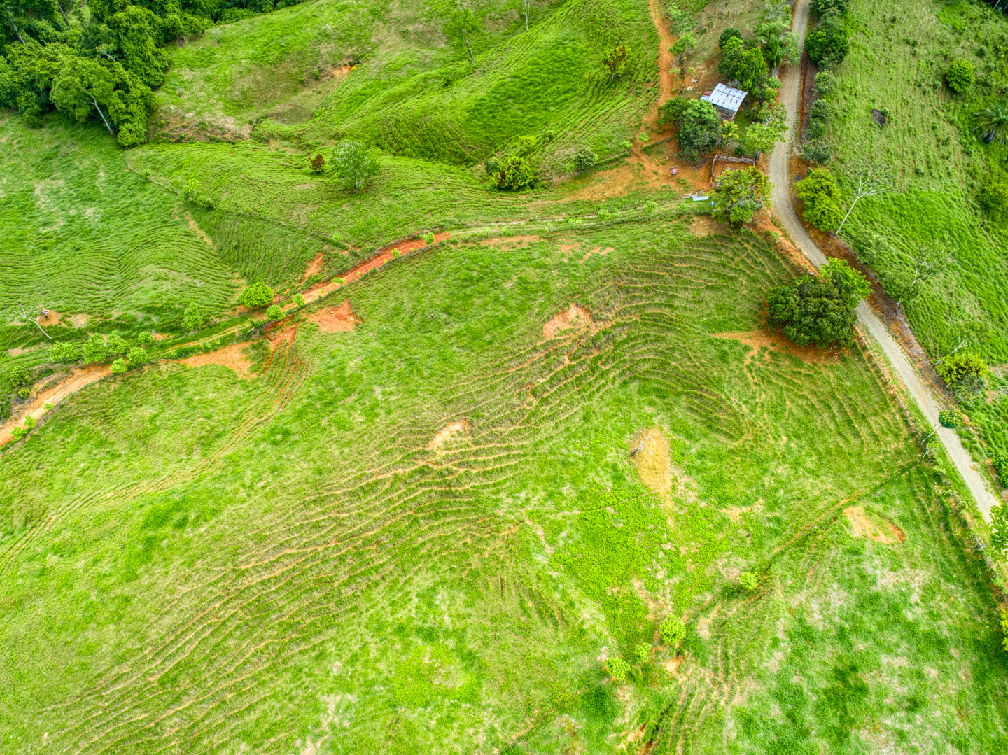 0 bed Land For Sale in Perez Zeledon, Puntarenas - thumb 10