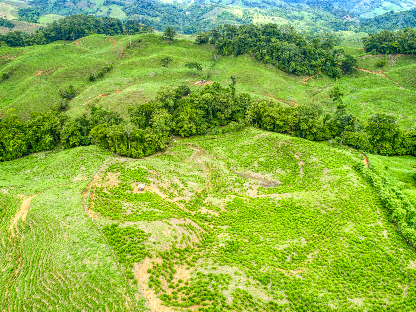 0 bed Land For Sale in Perez Zeledon, Puntarenas - thumb 14