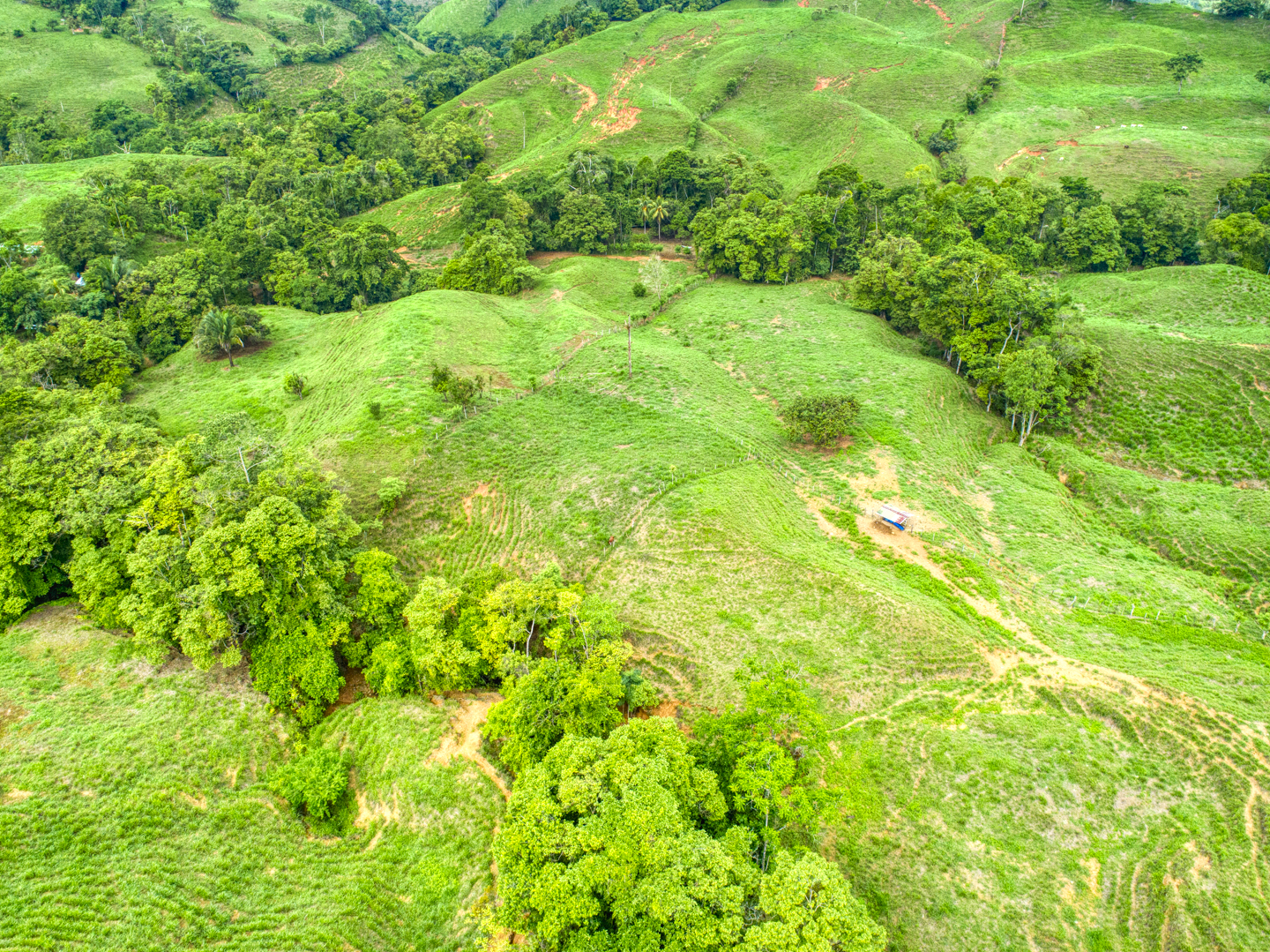 0 bed Land For Sale in Perez Zeledon, Puntarenas - thumb 9