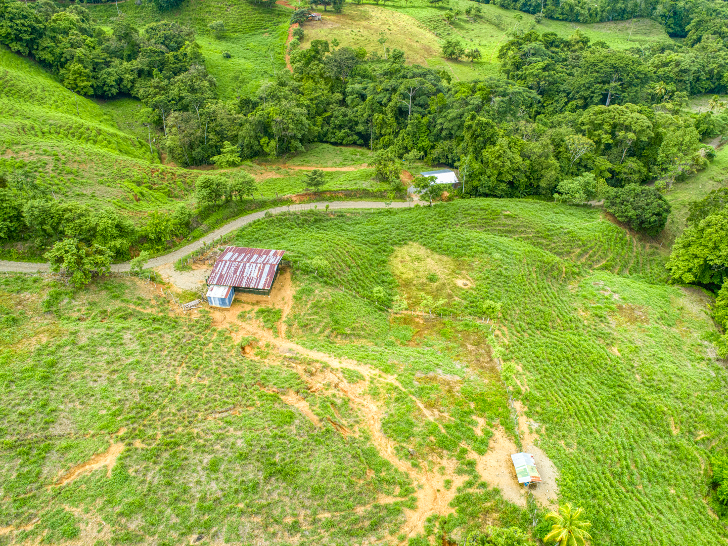 0 bed Land For Sale in Perez Zeledon, Puntarenas - thumb 1