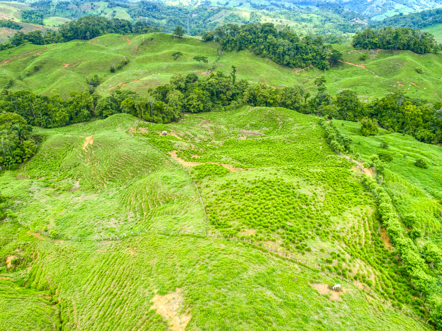 0 bed Land For Sale in Perez Zeledon, Puntarenas - thumb 12