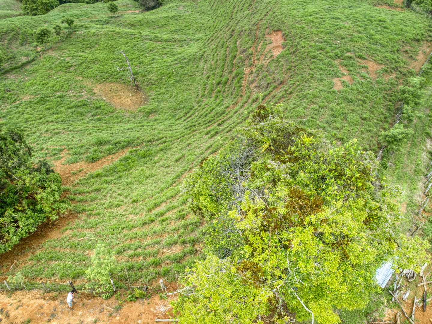 0 bed Land For Sale in Perez Zeledon, Puntarenas - thumb 3