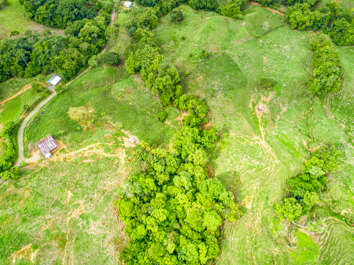 0 bed Land For Sale in Perez Zeledon, Puntarenas - thumb 16