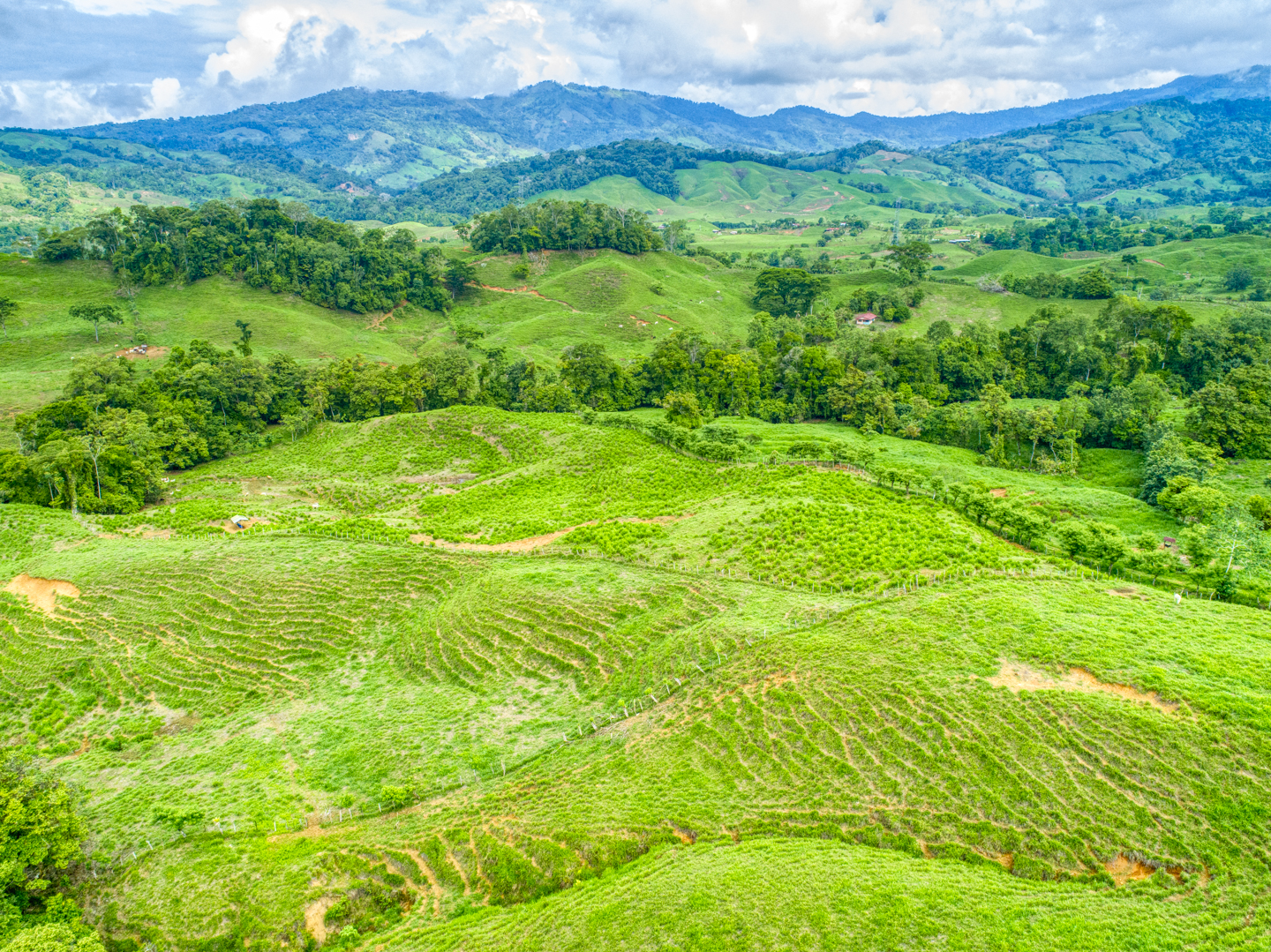 0 bed Land For Sale in Perez Zeledon, Puntarenas - thumb 8