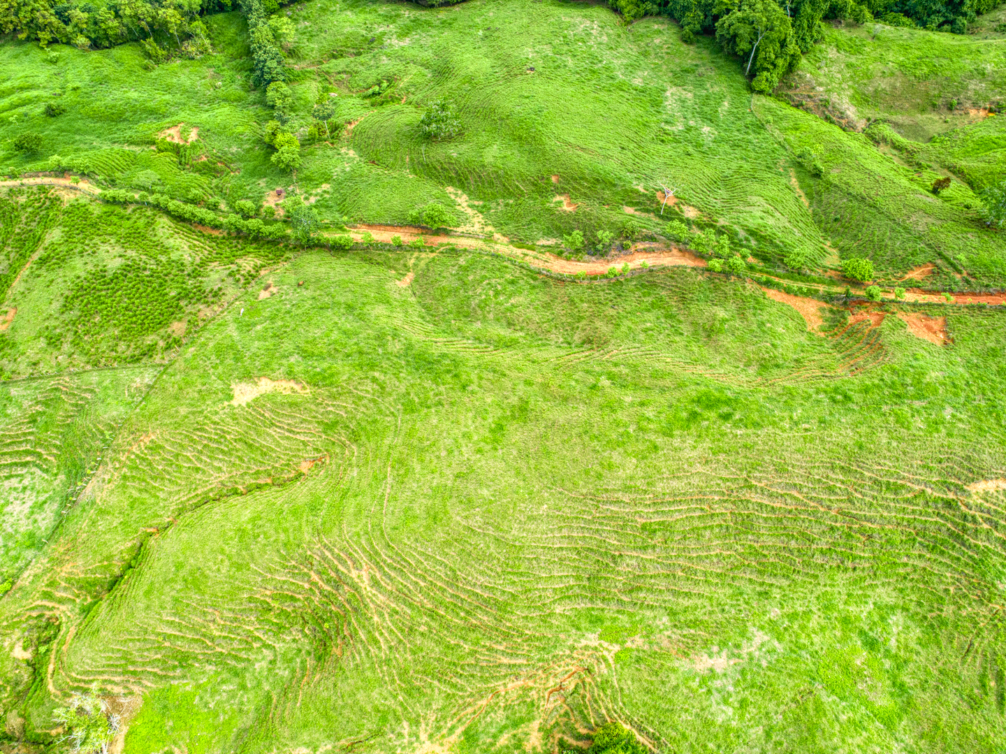 0 bed Land For Sale in Perez Zeledon, Puntarenas - thumb 11