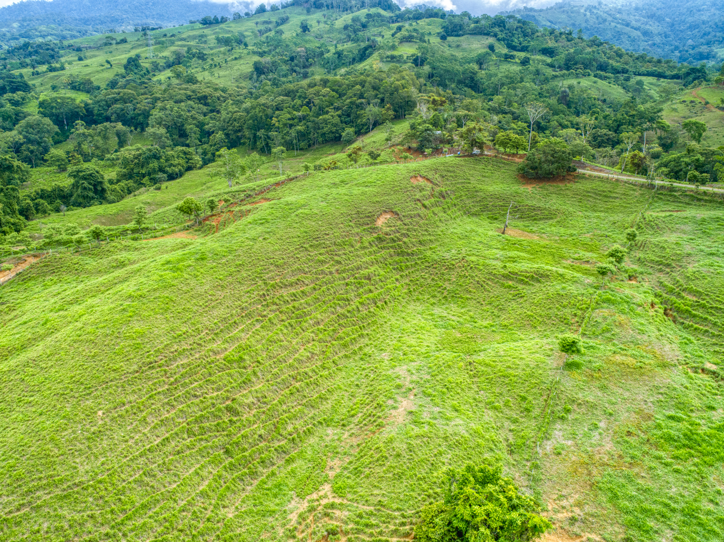 0 bed Land For Sale in Perez Zeledon, Puntarenas - thumb 7