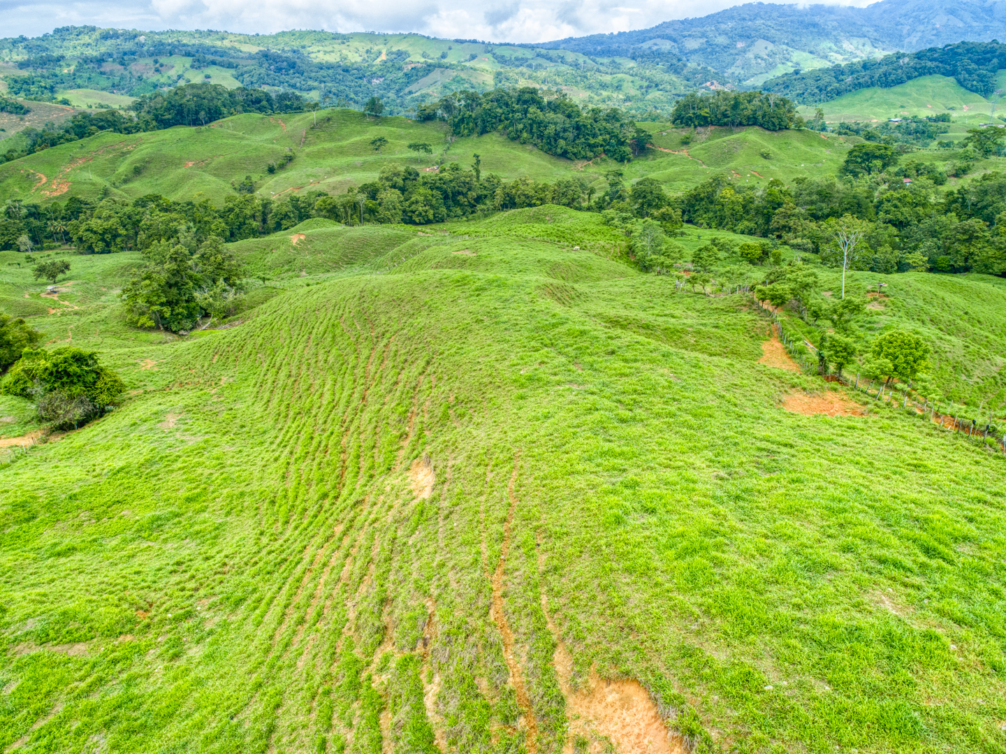 0 bed Land For Sale in Perez Zeledon, Puntarenas - thumb 13