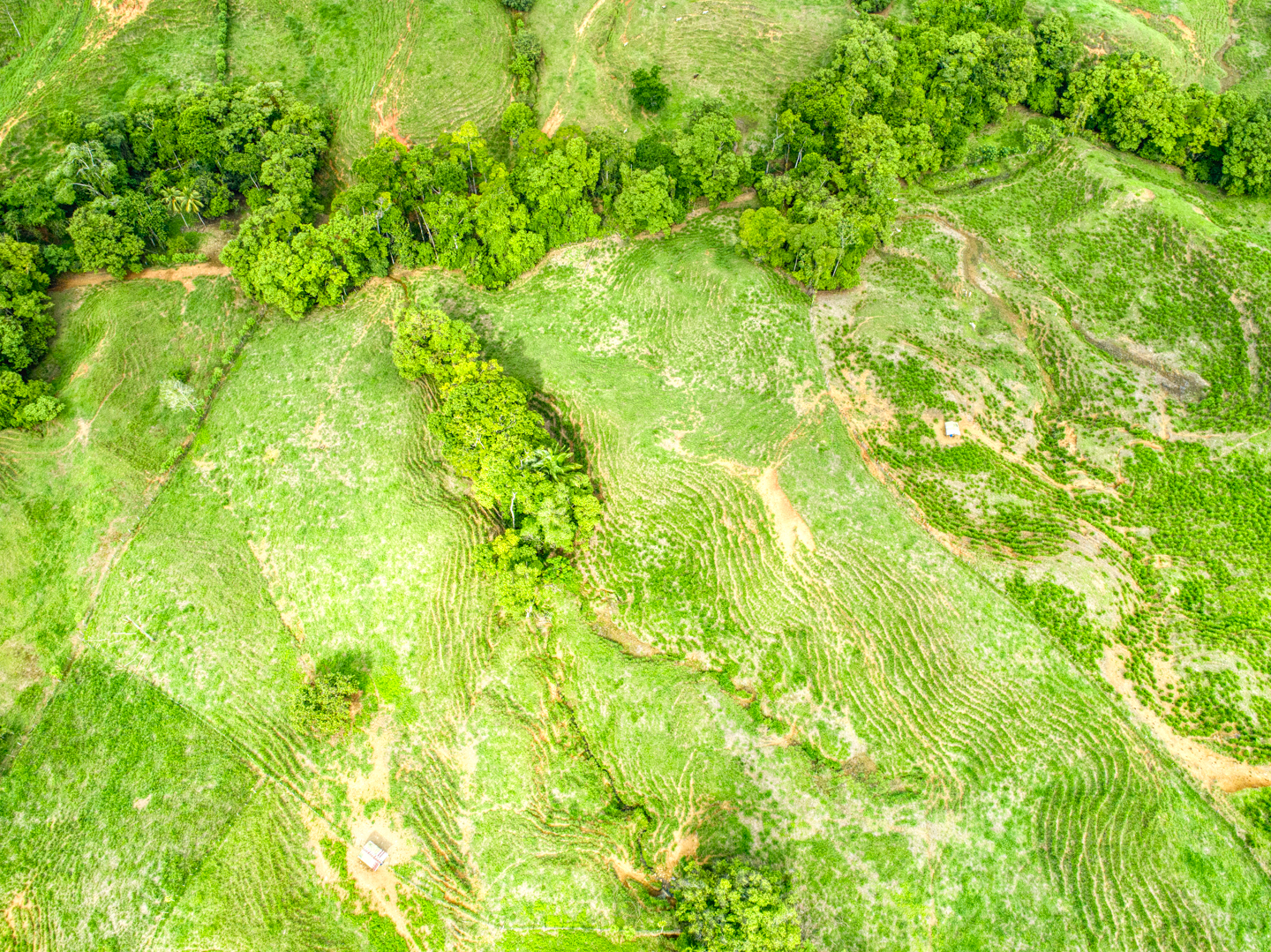 0 bed Land For Sale in Perez Zeledon, Puntarenas - thumb 17