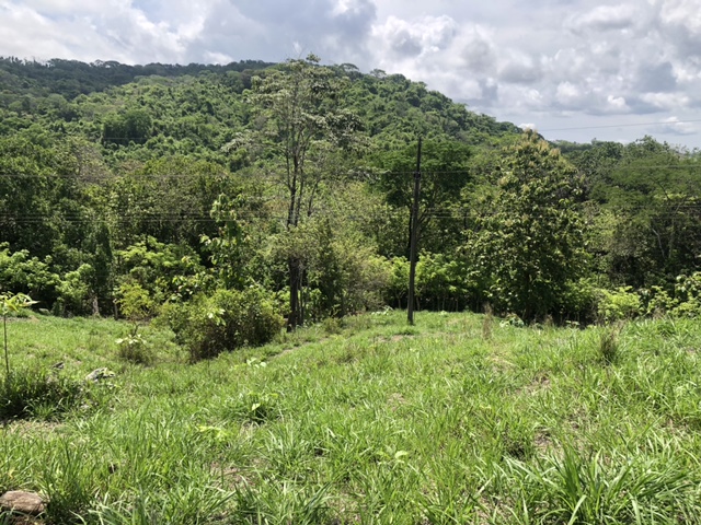 0 bed Land For Sale in Samara, Guanacaste - thumb 5