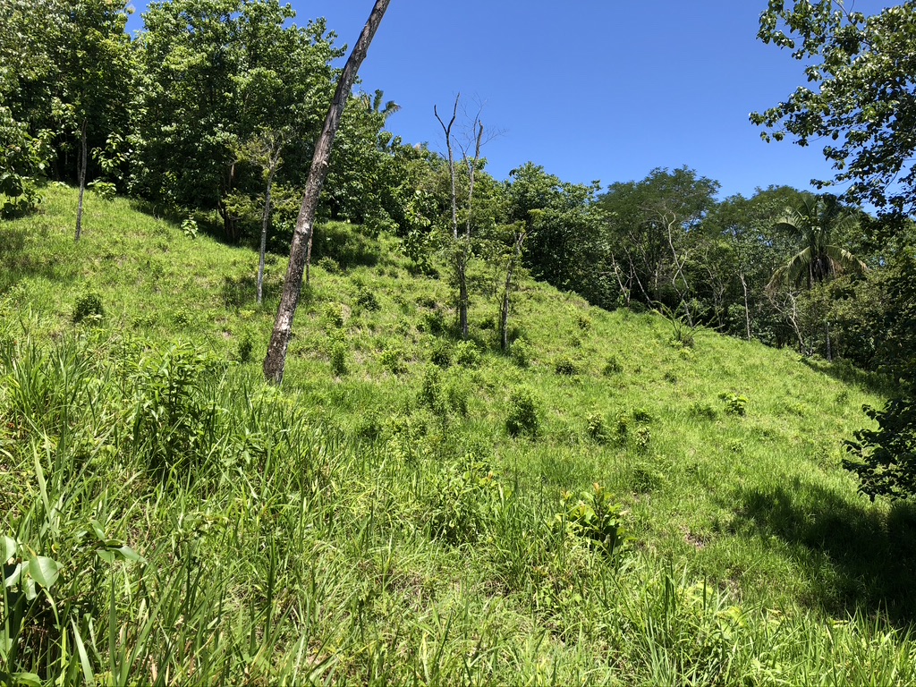 0 bed Land For Sale in Samara, Guanacaste - thumb 9