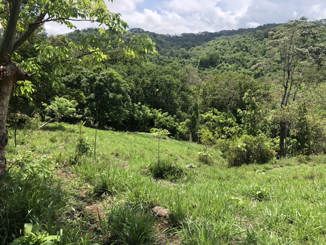 0 bed Land For Sale in Samara, Guanacaste - thumb 6