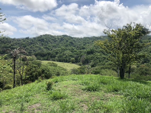 0 bed Land For Sale in Samara, Guanacaste - thumb 3
