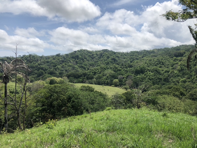 0 bed Land For Sale in Samara, Guanacaste - thumb 2
