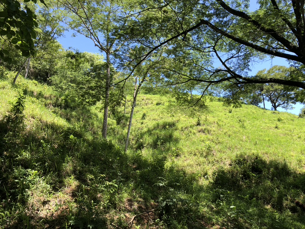 0 bed Land For Sale in Samara, Guanacaste - thumb 10