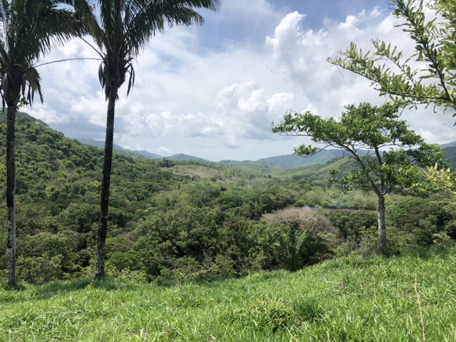 0 bed Land For Sale in Samara, Guanacaste - thumb 1