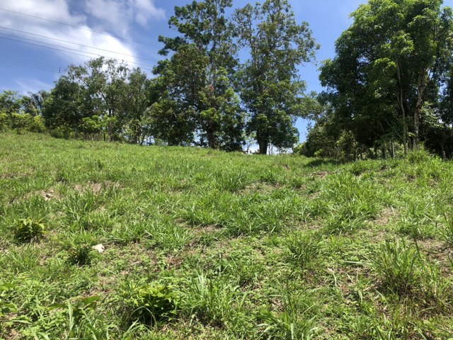 0 bed Land For Sale in Samara, Guanacaste - thumb 8