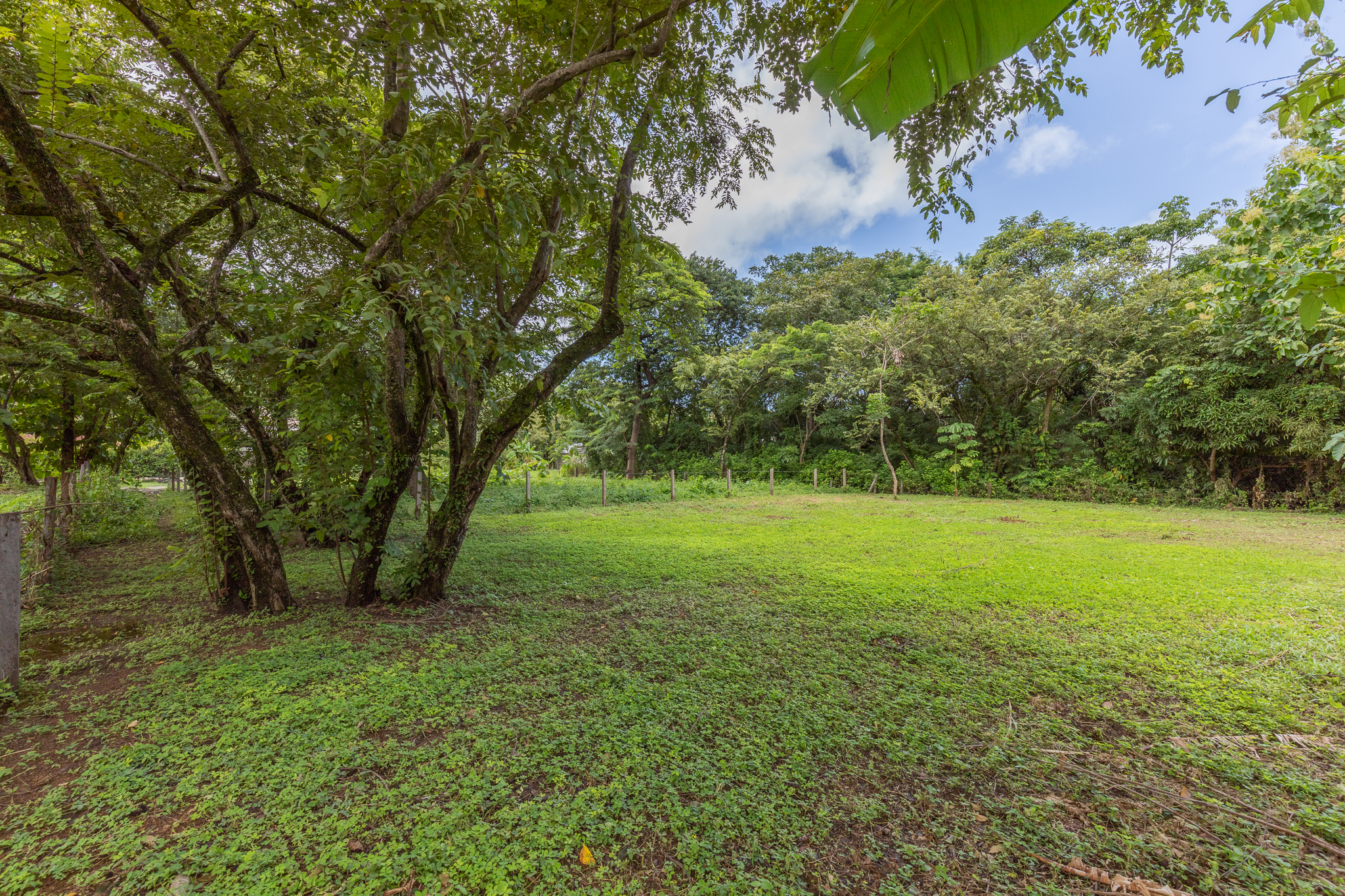 0 bed Land For Sale in Playa Pelada, Guanacaste - thumb 5