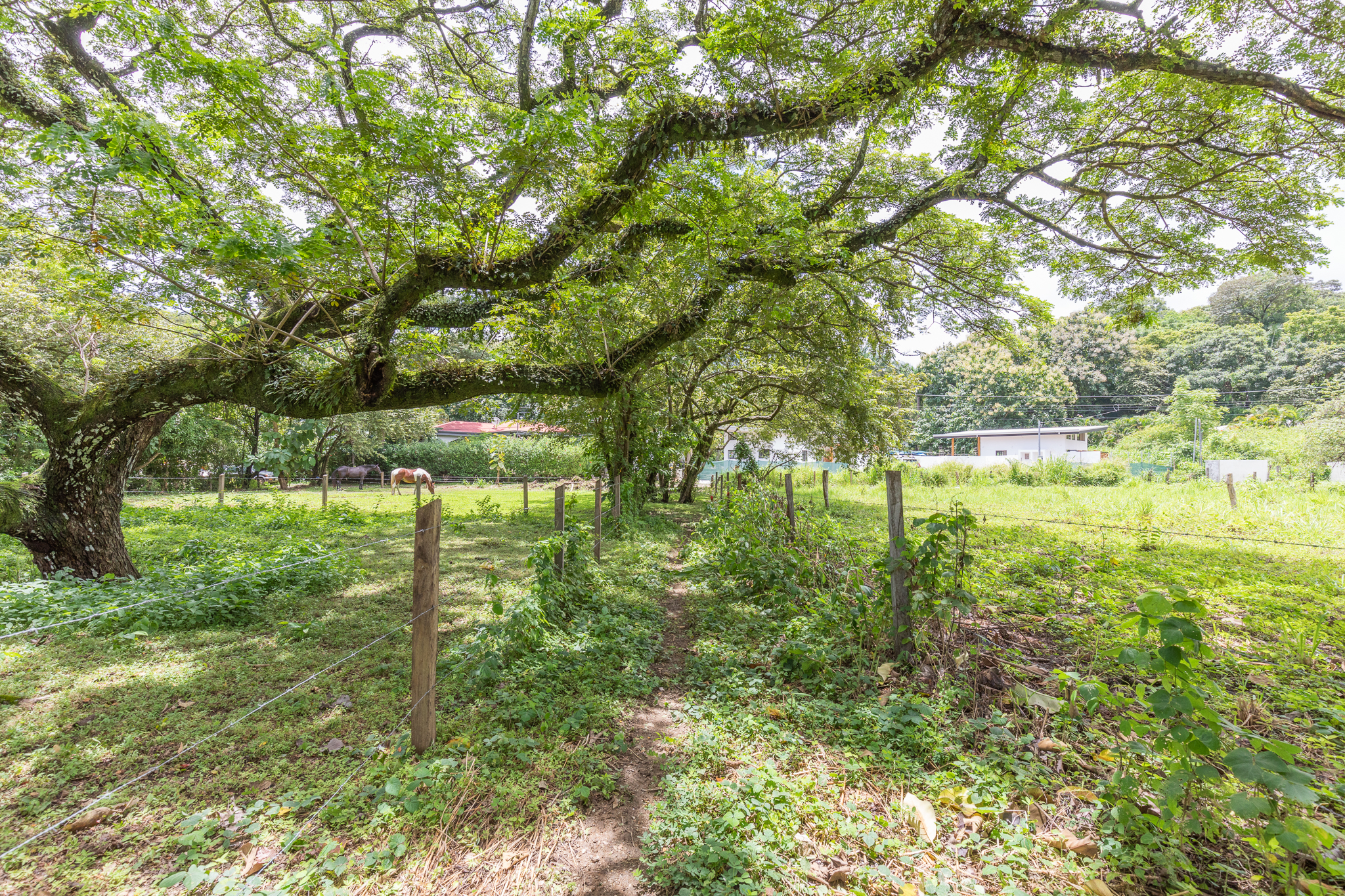 0 bed Land For Sale in Playa Pelada, Guanacaste - thumb 8
