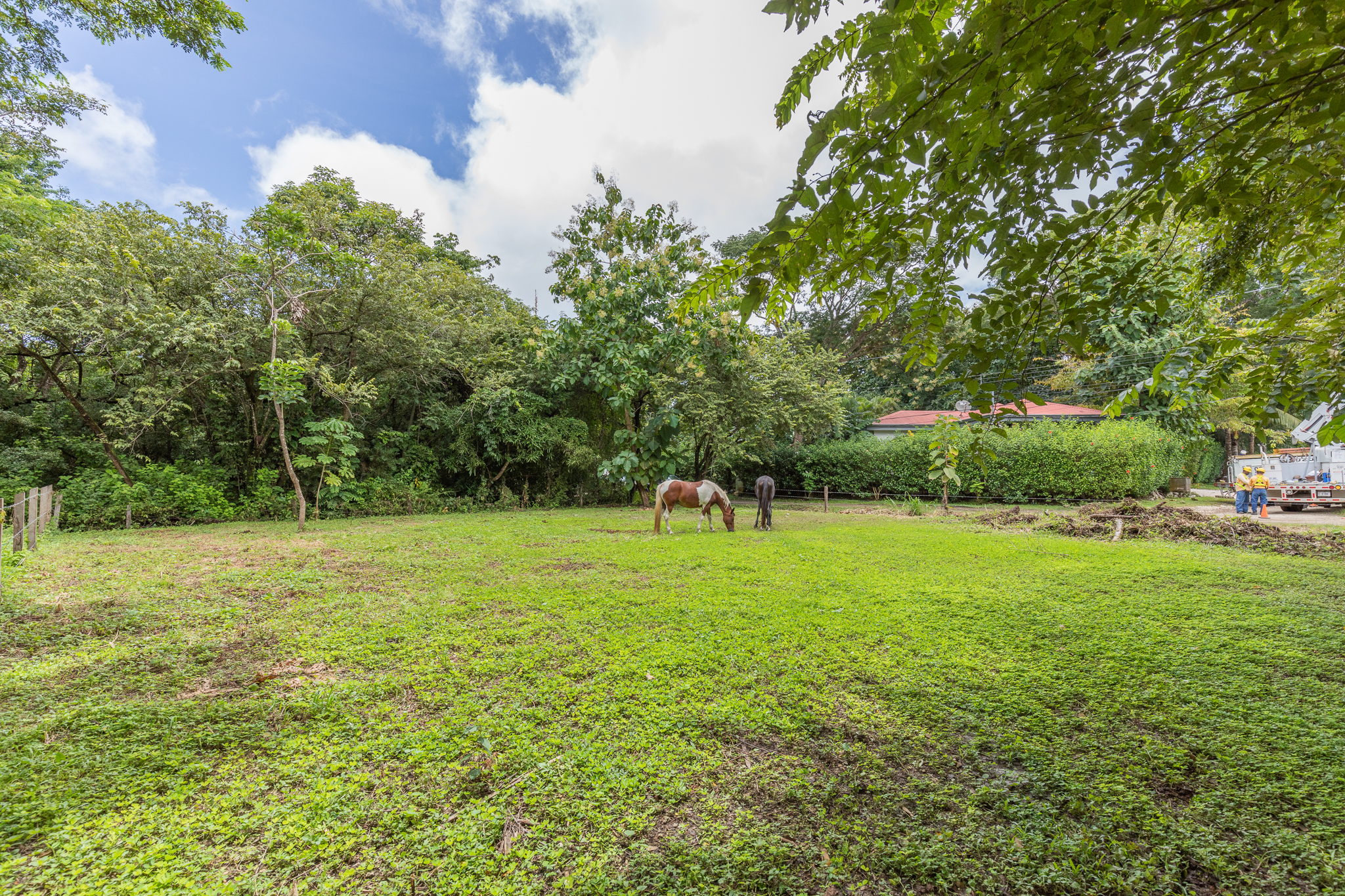 0 bed Land For Sale in Playa Pelada, Guanacaste - thumb 10